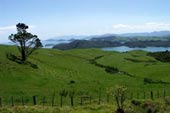  Neuseeland mit Kind und Fahrrad | Axel Bauer Wibke Raßbach